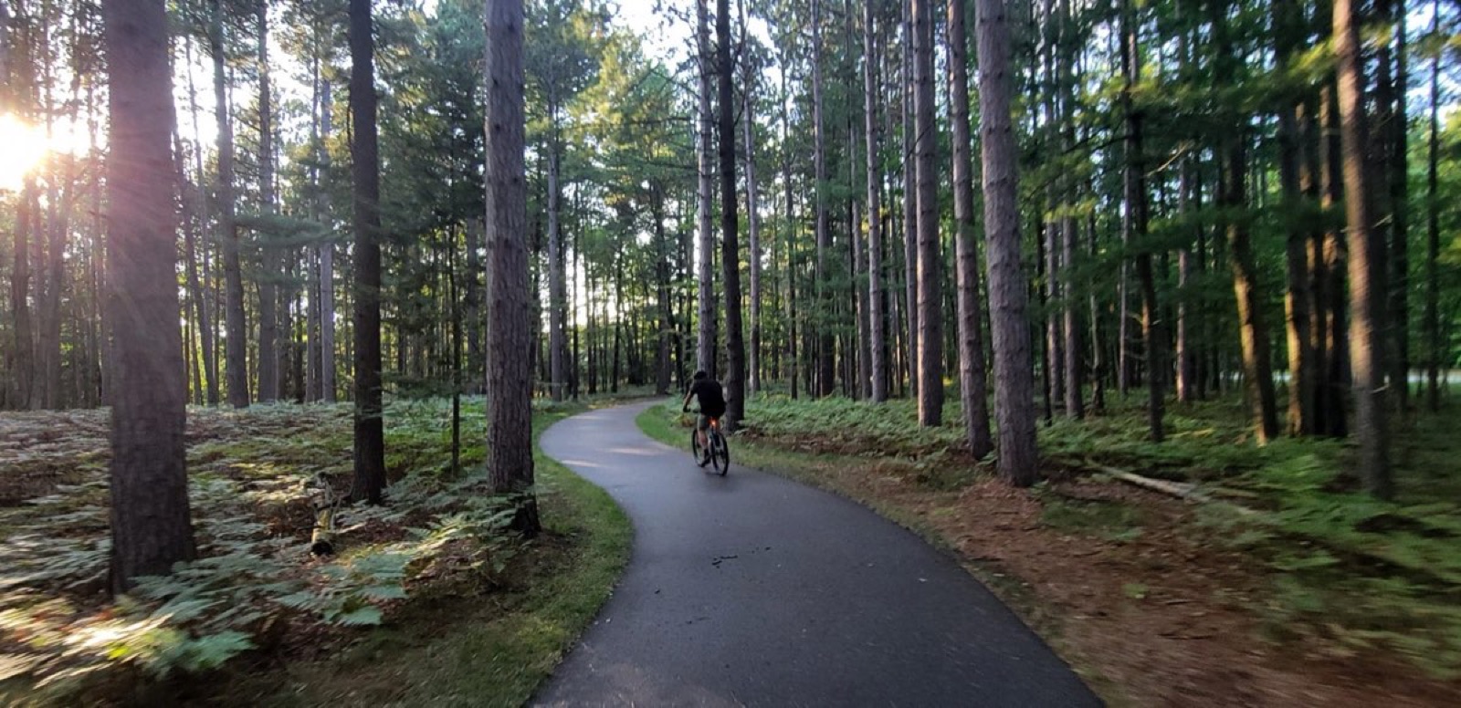 Cyclist on a wooded Northern Michigan trail