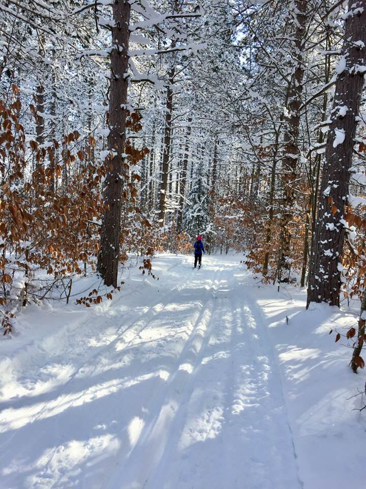 Skiers on the Wildwood Hills Pathway