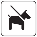 Pets on a leash