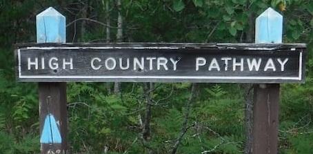 High Country Pathway through the forest