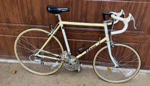Terry Gambit women's road bike