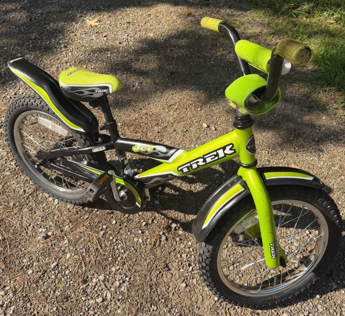 TREK JET 16″