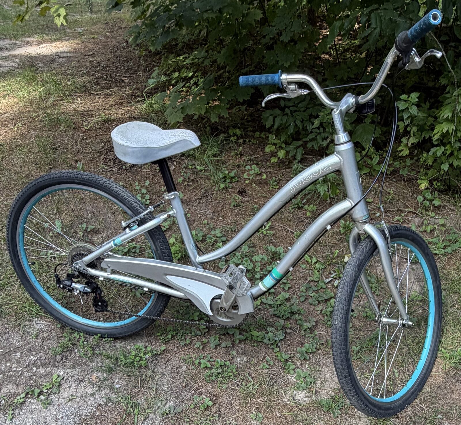 Giant Suede Ladies Comfort Bike