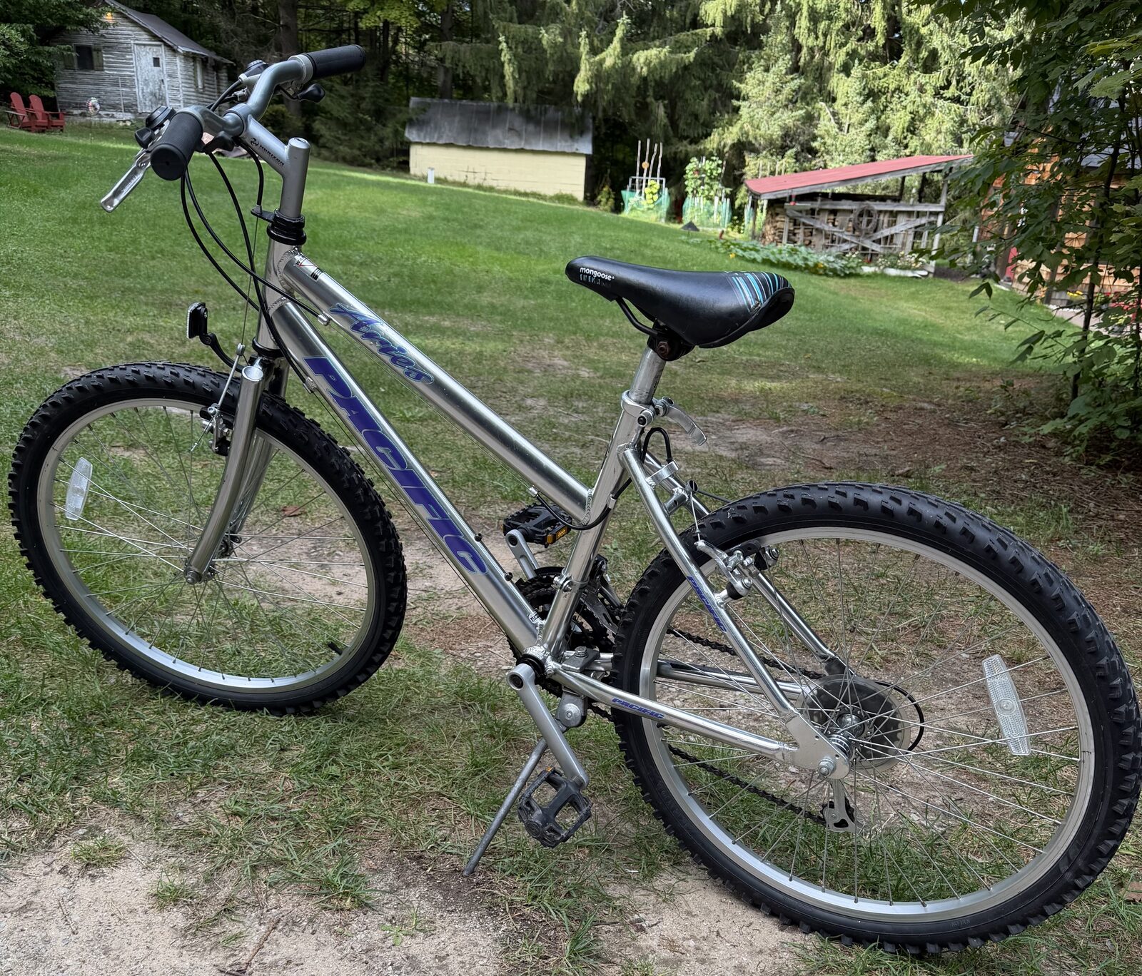 Pacific Aries 24″ Girls' Mountain Bike