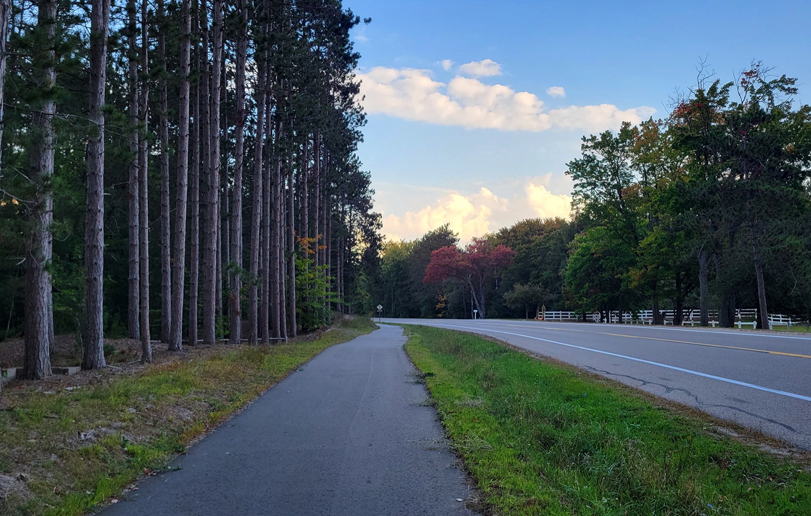 The paved Boyne City to Charlevoix Trail running alongside the road beneath tall pines in early fall